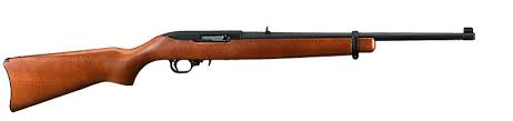 Ruger 10/22 Rifle - .22 LR 18.5"